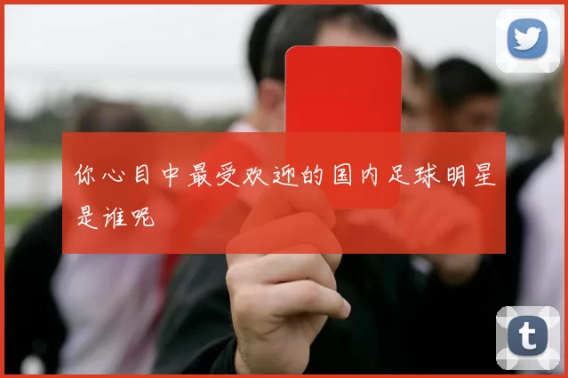你心目中最受欢迎的国内足球明星是谁呢