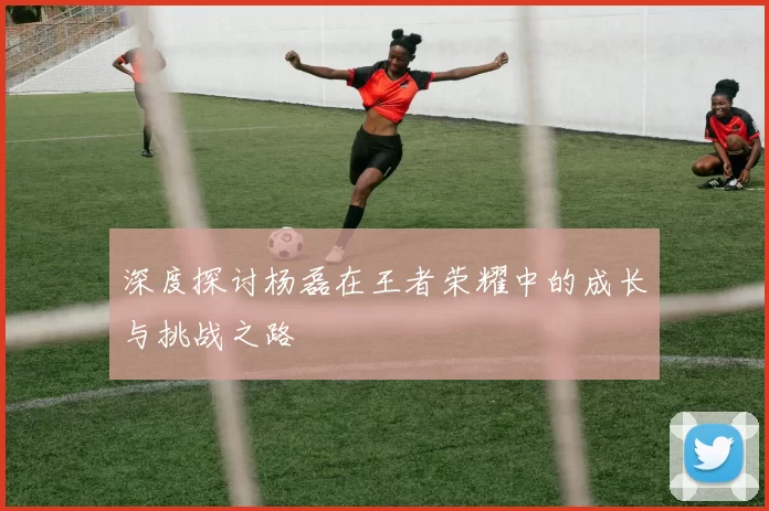 深度探讨杨磊在王者荣耀中的成长与挑战之路