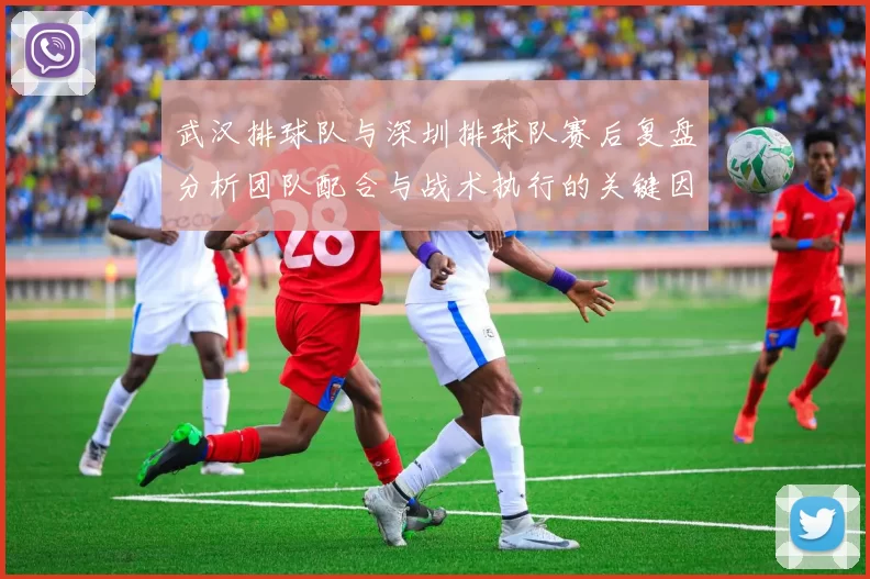 武汉排球队与深圳排球队赛后复盘分析团队配合与战术执行的关键因素