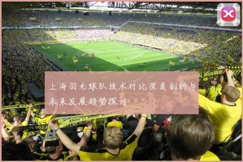 上海羽毛球队技术对比深度剖析与未来发展趋势探讨