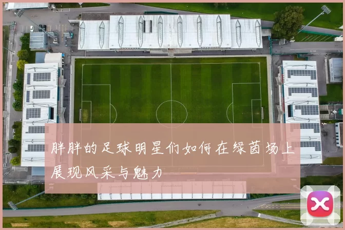 胖胖的足球明星们如何在绿茵场上展现风采与魅力