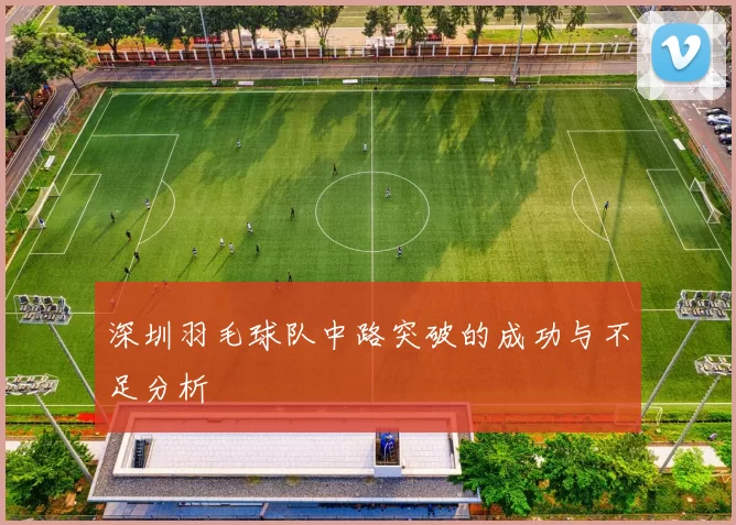 深圳羽毛球队中路突破的成功与不足分析