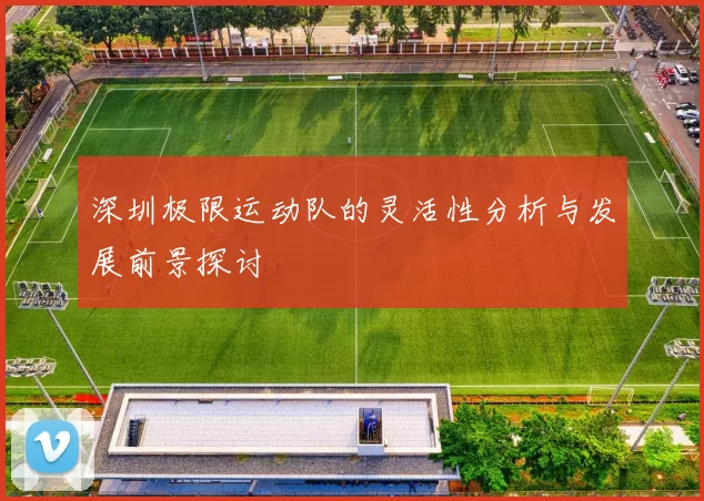 深圳极限运动队的灵活性分析与发展前景探讨